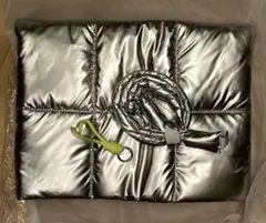 Item thumbnail for item 9be67617-04db-4672-8c1f-180bad2ccfa0