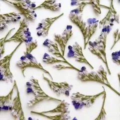 Item thumbnail for item 2b69e4e6-dc29-4637-9add-5d3f99e4cfb0