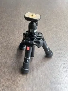 Item thumbnail for item 51ef0dac-2990-4fea-9124-6b1fa632ca67