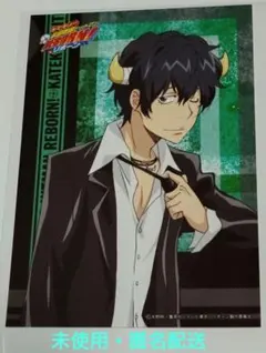 家庭教師ヒットマンREBORN! ジャンプフェスタ 限定 ブロマイド 大人ランボ