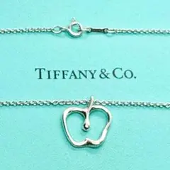 ❤️Tiffany&Co. ティファニー アップル　ネックレス SV925のサムネイル