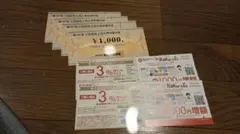 ビックカメラ　コジマ 株主優待　4000円