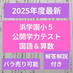 2026年最新】浜学園公開テスト小5の人気アイテム - メルカリ
