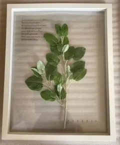 インテリア　壁飾り