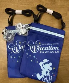 ディズニー★バケーションパッケージ★ポーチ