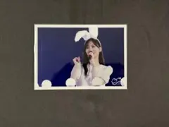 Item thumbnail for item d94300a9-6f5f-4014-9edb-9c85a49e90cb