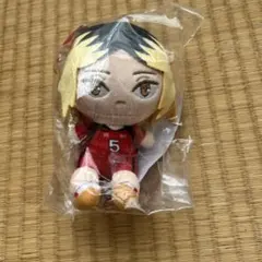 ハイキュー 一番くじ 孤爪研磨 ぬいぐるみ