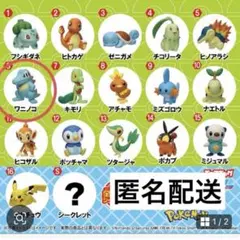 ポケットモンスター　チョコエッグ　旅立ちの3匹　ワニノコ