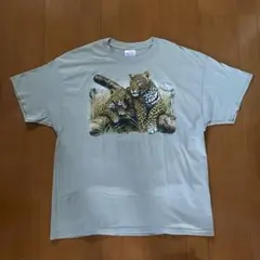 Item thumbnail for item d881250d-15a7-4649-bd98-f0734764eb5a