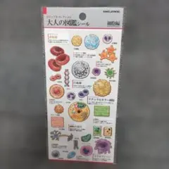 レニ様 リクエスト 3点 まとめ商品