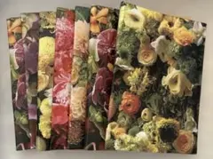 Item thumbnail for item 80a30212-82b1-4aa4-bfdd-9c0dc5056887