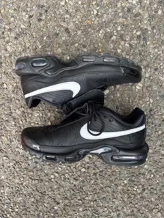 Nike Air Max Plus Tiempo ブラック