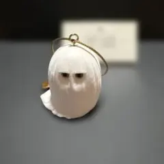 光線 CO-SEN フィギュアコレクション　　 Salasala