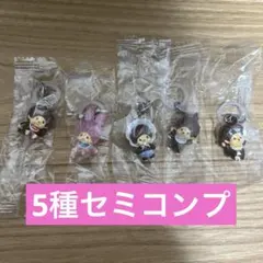 モンチッチ　めじるしアクセサリー　5種セット　セミコンプ　セミコンプリート　③