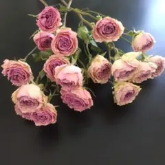 らてさら☆らぐどーる様 リクエスト 2点 まとめ商品