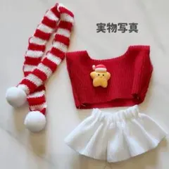 ラブブ洋服 着せ替え服 クリスマス labubu セット ぬいぐるみ用 ぬい活