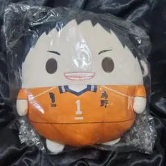 ブルーロック ふわコロりん BIG 糸師冴 匿名配送 - メルカリ