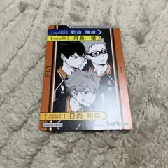 ハイキュー‼︎ 烏野　青葉城西