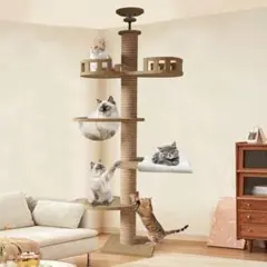 Item thumbnail for item 13a3b86c-673c-4384-b097-99a194e84786