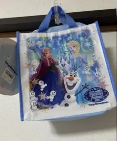 アナと雪の女王 東京ディズニーランドランチケース　スーベニア