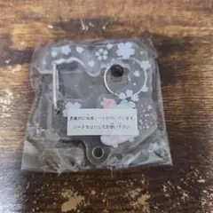 サンリオキャラクターズさくらマジックアクリルカラビナ ハンギョドン