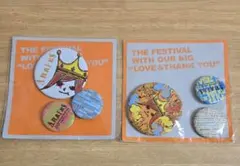 嵐　アラフェス ARAFES'13 缶バッジ