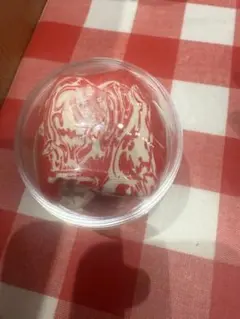 B'z LIVE-GYM 2025 FYOP ガチャガチャ ミニ巾着