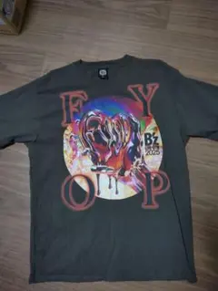 Item thumbnail for item beee89c6-12d3-4083-b36b-422fdaae9a28