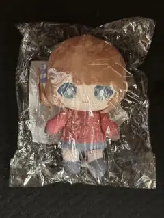 d*7様 プロセカ 望月穂波 はっぴーこれくしょんくじ はぴこれ A賞 ぬい