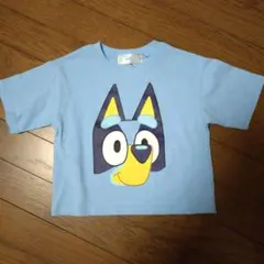 新品　ブルーイ　上下セット　90