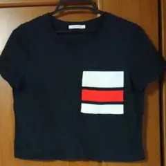 ZARA trafaluc クロップドトップス