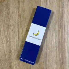 KWANSEI GAKUIN ボールペン 黒　赤　シャーペン　関西学院大学