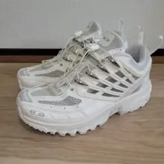 22.5㎝　SALOMON ACS PRO　サロモン ACS プロのサムネイル