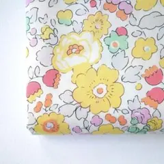 Item thumbnail for item f5cb08cd-b69a-4c7e-8188-6ae9a3172aa2