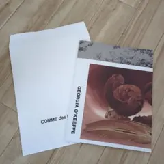 COMME des GARÇONS 2025AW DM