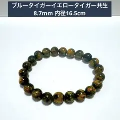 ブルータイガーイエロータイガー共生 ブレスレット　8.7mm 内径16.5天然石