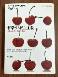 哲学する民主主義 : 伝統と改革の市民的構造
