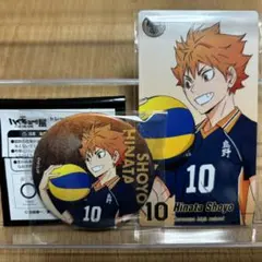 ハイキュー ゴミ捨て場の決戦 ハイキュー展 缶バッジ チケット風カード 日向翔陽