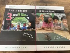 和光鶴川幼稚園 子ども理解と大人の関わり 3歳児 4歳児 2冊セット