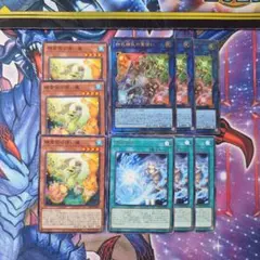 遊戯王　四花繚乱の霊使い　各種3枚