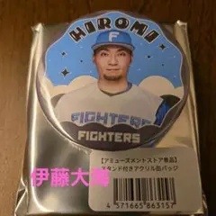 伊藤大海 投手 記念グッズ パーカー ステッカー 受注生産品 2026年最新】伊藤大海の人気アイテム - メルカリ