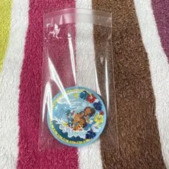 ディズニー 刺繍缶バッジ2