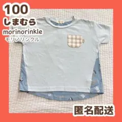 しまむら 半袖 Tシャツ カットソー モリノリンクル　幼稚園　保育園　100