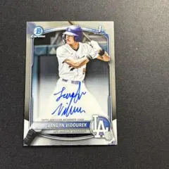 Item thumbnail for item 417815ae-44dd-48cc-b94d-3afb59da986e