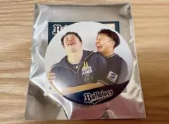 タイガーのママ様 リクエスト 2点 まとめ商品