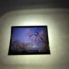 Item thumbnail for item d8948d61-8c30-48bd-aa97-ad45236334d1