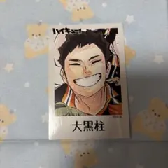 澤村　烏養　ハイキュー　烏野羽クッキー　ブロマイド