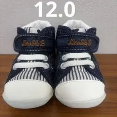 Item thumbnail for item 71b6383a-b665-47d6-9c07-023bc21ede5e