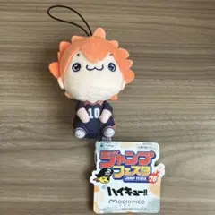 ハイキュー!! もちぴこぬいぐるみ 日向翔陽