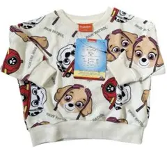 Item thumbnail for item 07c3b643-6706-4039-ae08-dba25dd8ec27